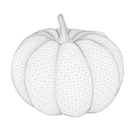 Pumpkin frame from black lines isolated on white background. 3D. Vector illustration