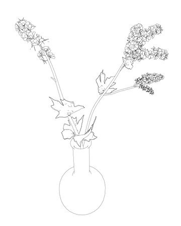 Outline of Flowers line drawing vector art in a vase for decoration. Line flower bouquets in vases, vector illustration.のイラスト素材