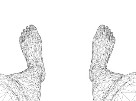 Wireframe of human legs from black lines isolated on white background. View from above. Vector illustration.のイラスト素材