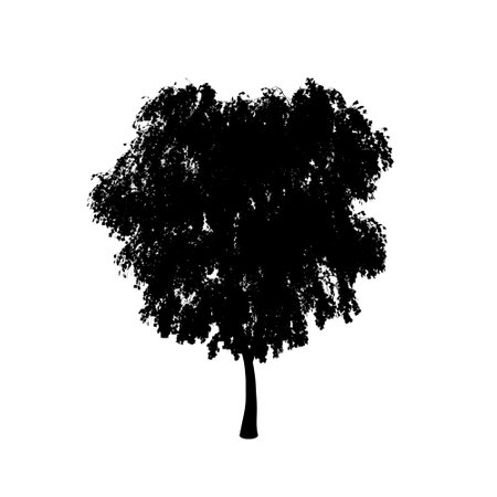 Detailed tree silhouette isolated on white background. Vector illustration.のイラスト素材