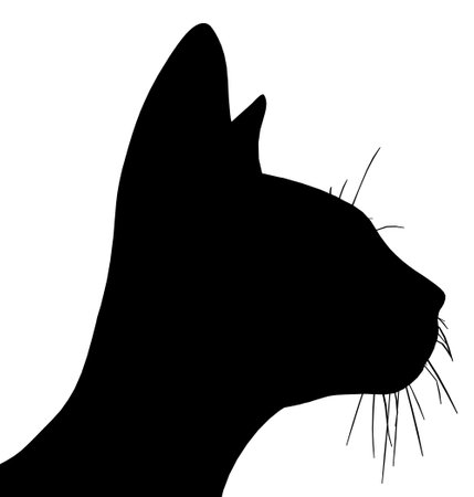 Silhouette of head a cat on a white backgroundのイラスト素材