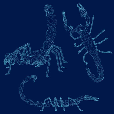 Set Graphic wireframe scorpion isolated on blue background, vector illustration. 3Dのイラスト素材