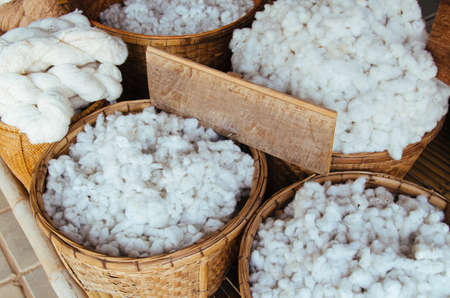 The beautiful bright ball cotton in the basket with blank sign. They are raw clothing material from...
