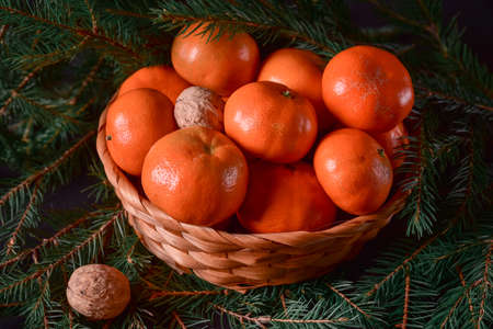 Nuts and Fresh Tangerines in the Basket and Xmas Tree Branchesの写真素材