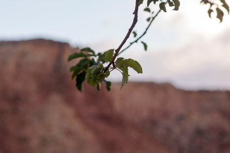 Landscape, New Mexico, Southwest USA