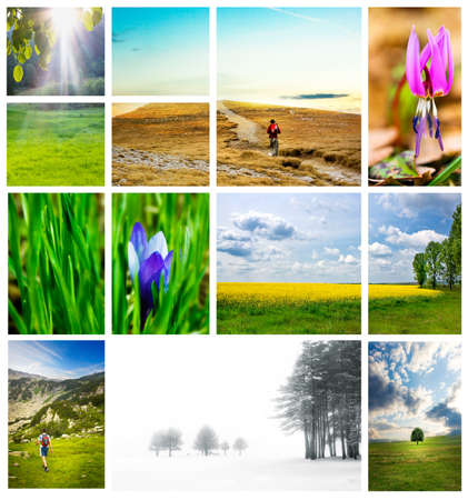 seasonal nature collage from several imageの写真素材