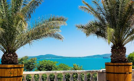 summer landscape with sea panoramaの写真素材