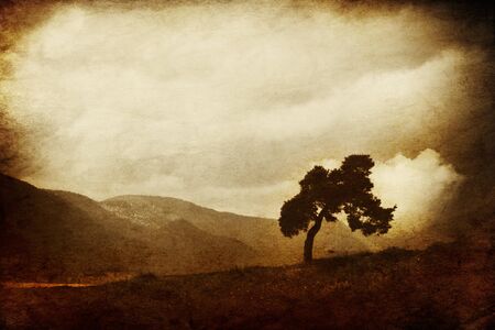 single tree vintage picture for cover or postcard; Art backgroundの写真素材