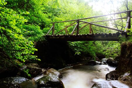 bridge over the mountain river in Bulgarian park Vitoshaの写真素材