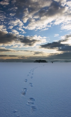 winter vertical landscape on frozen bulgarian Batak dam lake の写真素材