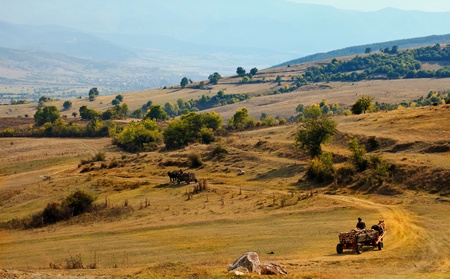 autumn landscape with wagon and old road  