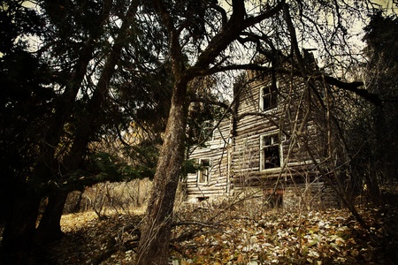 abandoned spooky house in deep mystery woodの写真素材
