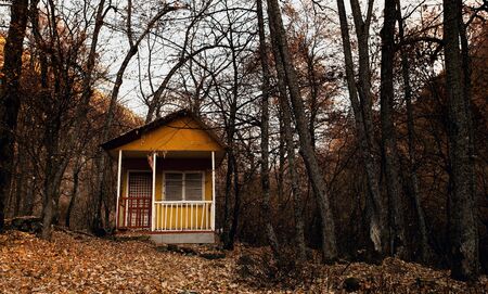 fall forest landscape with old lonely cabin shelterの写真素材