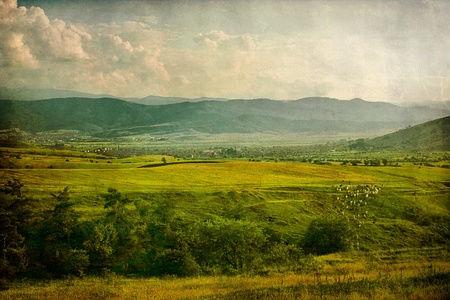 Vintage pastoral landscape with herd of sheep