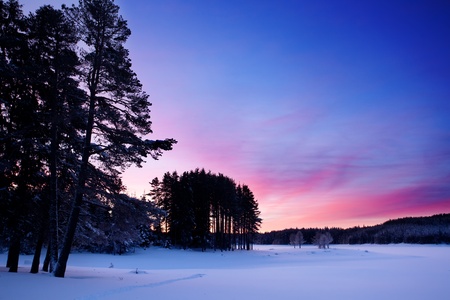 Low light winter sunrise background の写真素材