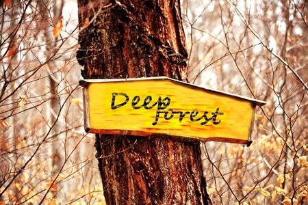 sign in forest ; space for add textの写真素材