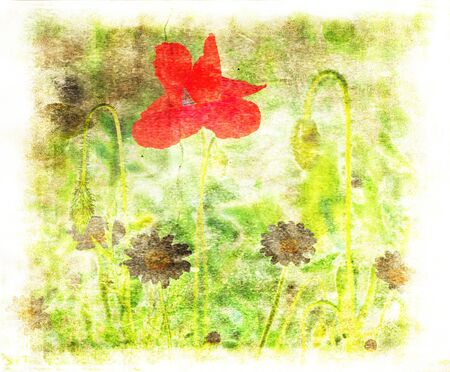 green and red floral grunge textured backgroundの写真素材