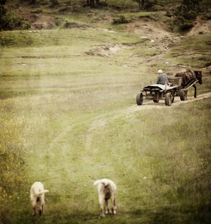 textured vintage pastoral landscape; old road in countrysideの写真素材
