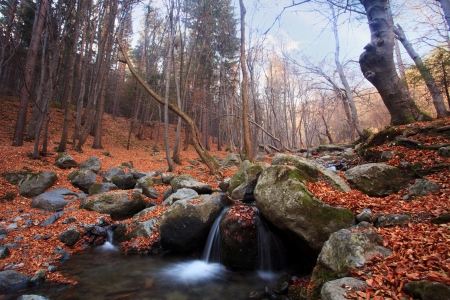 mountain stream in deep bulgarian forestの写真素材