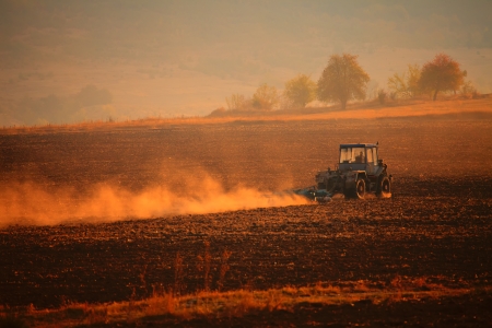 autumn sunrise over the cultivated farmland