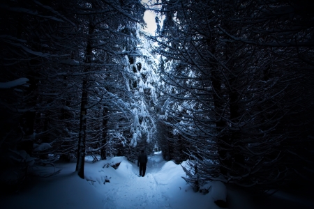man silhouette in deep winter forest- dusk timeの写真素材