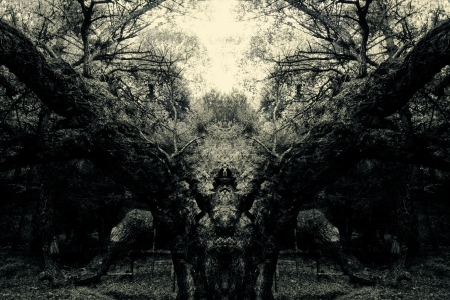 abstract vintage spooky forest background
