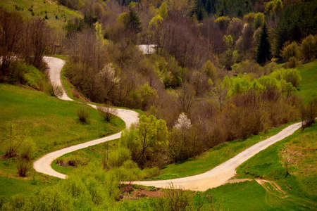 mountain road in bulgarian forestの写真素材