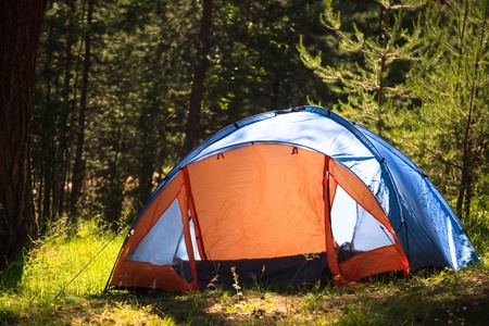 sunny forest with tent- nature camping concept の写真素材