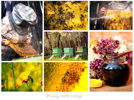 honey made preparation proces conceptual background collage from several imagesの写真素材