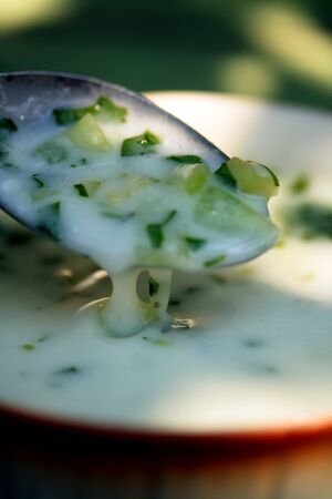 traditional bulgarian summer soup from fresh cucumber and yogurt の写真素材