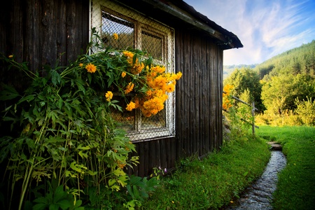 bulgarian autumn landscape with wooden house and cold stream のeditorial素材
