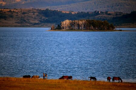 young couple walking on lake beach- horses and island autumn landscape の写真素材