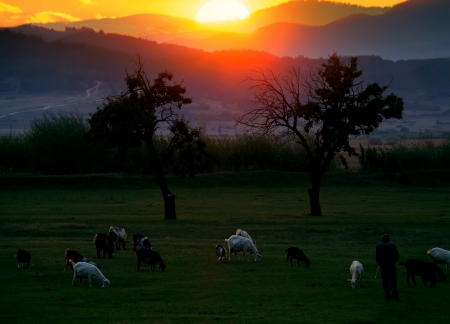 HDR sunset over the cultivated bulgarian farmland の写真素材