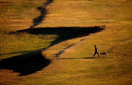 man and dog shoot from long distanse walking in warm autumn meadows in sunset の写真素材
