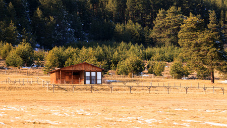 wooden house in meadows near forestのeditorial素材