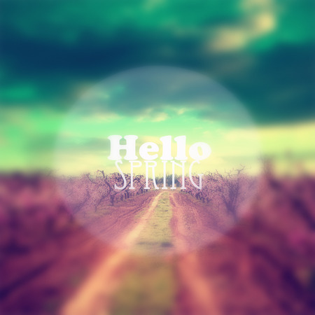 abstract filtered and blurred spring background design with "hello spring" text addedの写真素材