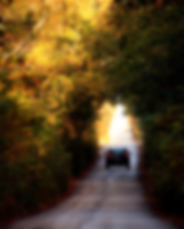 car in country road, blurred abstract backgroundの写真素材