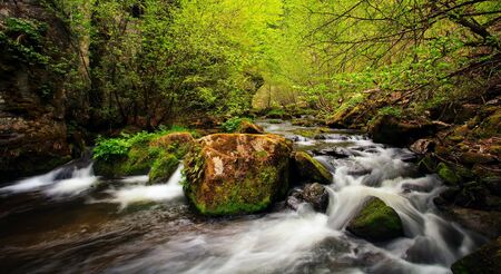green spring cold river details in bulgarian mountains