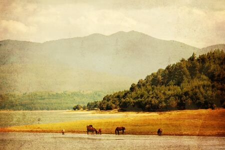 vintage landscape with several wild horses near mountain lakeの写真素材