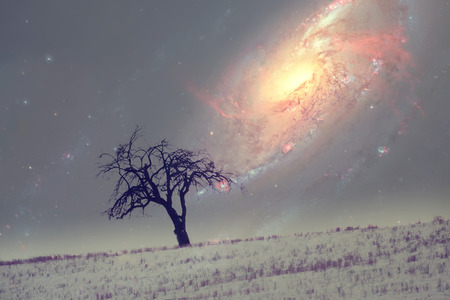  alien night sky landscape with alone tree over the galaxy  with many stars - elements of this image are furnished by NASAの写真素材