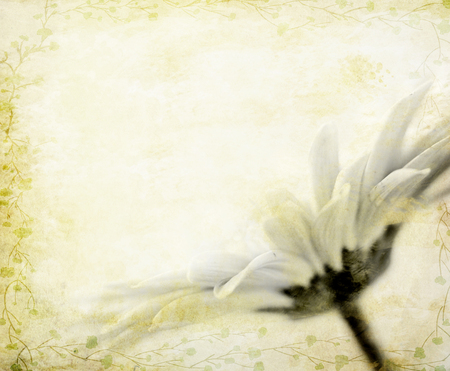 art mixed media floral card design, macro view on the flower, duotone colors, textured vintage floral backgroundの写真素材