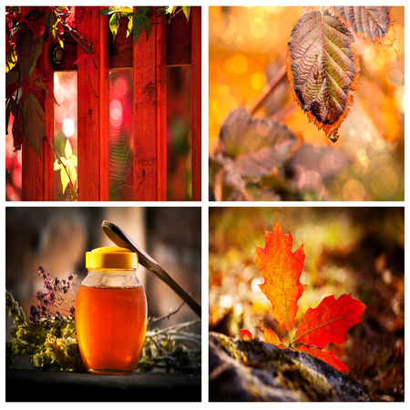 autumn mood conceptual collageの写真素材