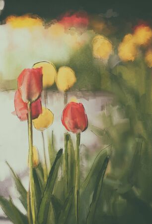 Red tulip watercolor art painting, textured vintage backgroundの写真素材
