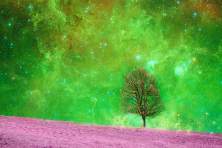 Fantasy landscape - Lonely bare tree silhouette with huge planet rising behind it and galaxy in the sky.の写真素材