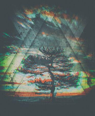 lonely tree in a field at sunrise with the rays of the sun in summer. Black and white photo with 3D glitch effectの写真素材