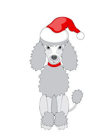 New year card with cartoon drawn pretty poodle with santa hat. Symbol year 2018 of dog.  Isolated on the white background. eps 10のイラスト素材