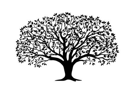 Black silhouette illustration apple tree  leaves. Icon tree  on white background. Template for tattoo, print for t-shirt, home art, decorate wall, logo and Earth Day flyer design.のイラスト素材