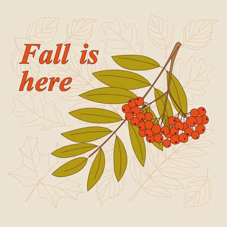 Rowanberry twigs, contour drawing autumn leaves and slogan Fall is here.のイラスト素材
