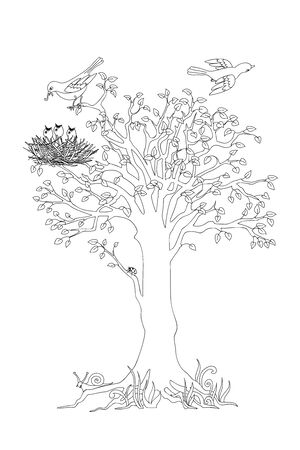 Outline illustration tree with leaves, birds and nest for kid and adult coloring book, tutorials.のイラスト素材