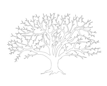Outline illustration apple tree with roots, without leaves for kids and adult coloring book,  tutorials.のイラスト素材